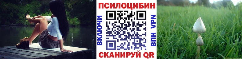 Псилоцибиновые грибы Cubensis  купить  сайты  Бийск 